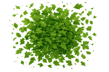 Lush green leaves forming a vibrant foliage circle, many individual leaves falling and floating on transparent background