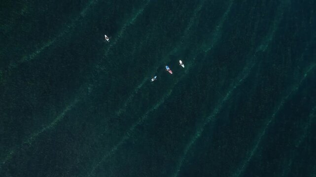 Aerial view of group of surfers sitting on their surfboards in transparent water of Indian ocean.Grajagan Bay, Banyuwangi, Alas Purwo National Park, East Java, Indonesia