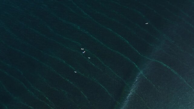 Aerial view of group of surfers sitting on their surfboards in transparent water of Indian ocean.Grajagan Bay, Banyuwangi, Alas Purwo National Park, East Java, Indonesia