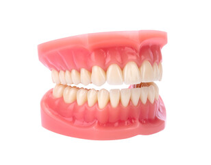 A set of artificial teeth with pink gums, gleaming white against a black background, displayed in a clean, detailed studio shot