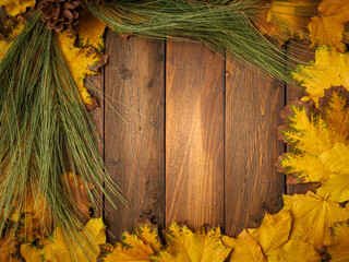 Gold yellow fall maple leaves and evergreen pine spruce branch needles greenery on brown rustic wood plank table. Autumn seasonal overhead flatlay