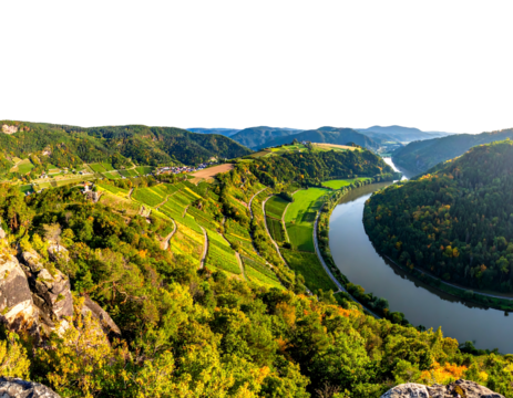Sweeping river winds amidst lush hills, fields, and forests, captured from a high vantage point in the daytime