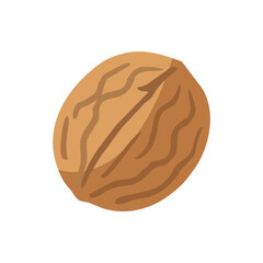 walnut isolated on white background