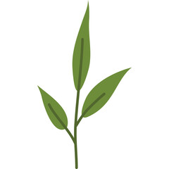 A Delicate Green Leafy Branch with Three Vibrant Leaves on a Transparent Background Perfect for Botanical Designs and Nature Themes
