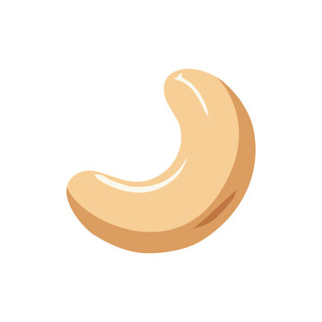 cashew nut atau kacang mete