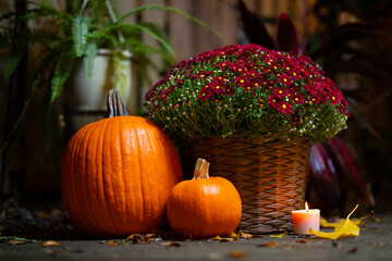 Autumn, Fall still life. Pumpkin and bouquet of red flowers in a wicker basket and burning candle....