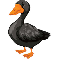 A Detailed Illustration of a Black Duck with Orange Beak and Feet Standing on a Transparent Background Perfect for Wildlife and Nature Designs