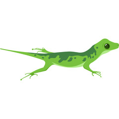 A detailed illustration of a bright green lizard with darker green markings on its body and a long tail depicted in profile against a transparent background