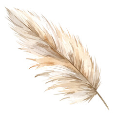 Elegant Beige Feather Plain White Background