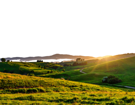 Sunlit rolling hills of grassy landscape, bathed in the soft glow of setting sun, against a black sky