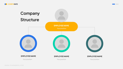 Company Hierarchy Infographic