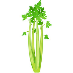 Green Celery Stalks With Leaves Isolated On White Background Detailed Pixel Art Illustration