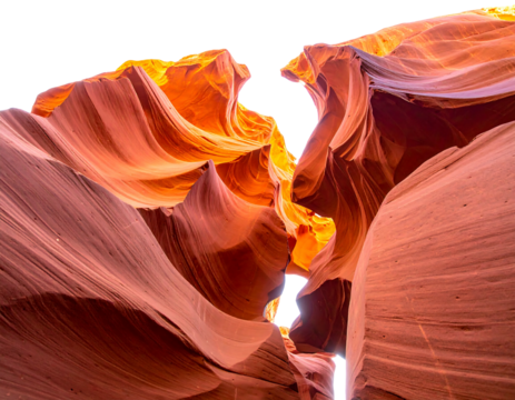 Swirling, orange and red sandstone walls form a deep, shadowed canyon under a dark sky