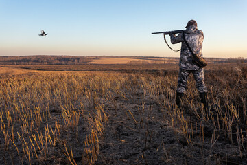 Hunter aiming with rifle on black grouse. The man is on the hunt. Hunter man.
