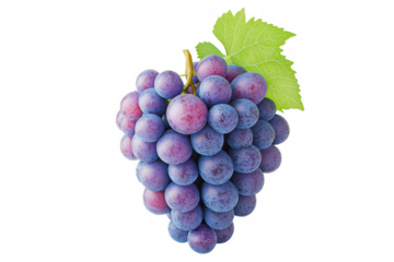 Purple grapes with green leaf isolated on a transparent background
