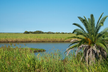 Obraz premium Fort Anahuac Park on the Trinity Bay coast