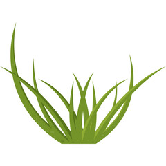 Green grass clump isolated on white background representing nature and growth