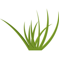 Green Grass Clump With Transparent Background And Realistic Detail Representing Nature And Growth