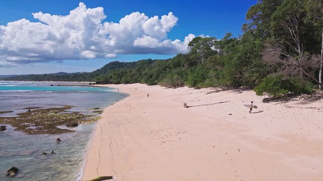 Aerial view of lonely surfer at tropical island coastline, Plengkung Beach,Alas Purwo National Park, East Java, Indonesia