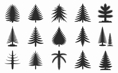 Obraz premium set of trees