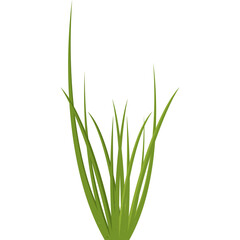 Green Grass Illustration Isolated On Transparent Background Vivid Detail Pixelated Art Nature Elements For Design And Decoration