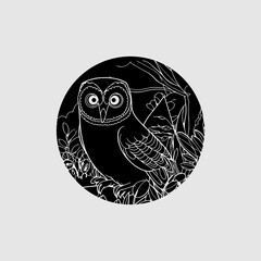 Owl in the Silent Night