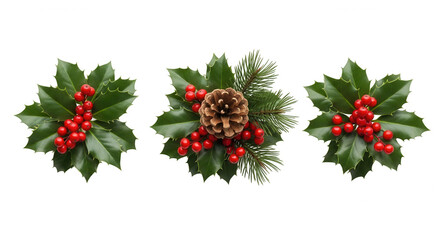Festive christmas holly berry and pine cone arrangement isolated on transparent background