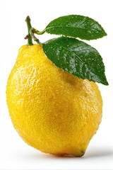 Fresh, wet lemon with leaves, against a plain backdrop
