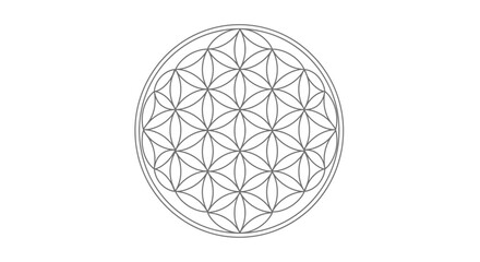 Intricate black and white geometric pattern resembling the flower of life