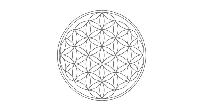 Intricate black and white geometric pattern resembling the flower of life