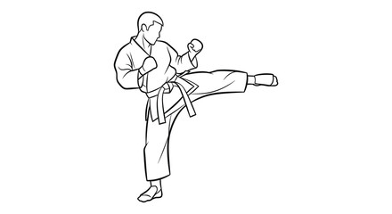 Martial arts practitioner performing a dynamic side kick in a striking silhouette pose silhouette