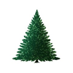 Fototapeta premium Pine tree icon christmas plant shape.