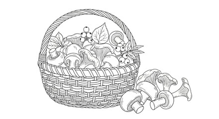 A detailed sketch of a woven basket filled with various mushrooms and berries