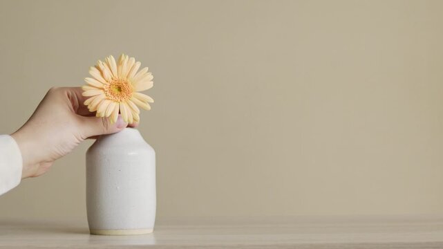 一輪のガーベラの花を花瓶に挿す様子