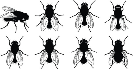 Fly silhouettes vector illustration, insect pest design, entomology concept, bug symbol, mosquito housefly artwork, nature biology study, cad drawing flat vector illustration