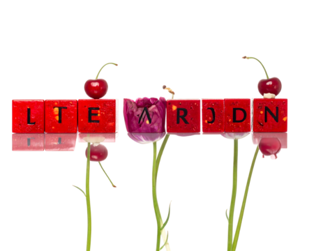 Red letter tiles spell out word with red cherries, green stems and a single purple flower against black background