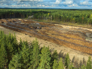 Temporary timber storage facility surrounded by dense forest during a clear day