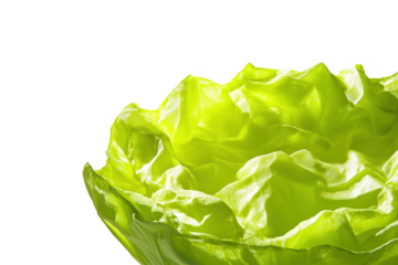 Vibrant green crumpled fabric isolated on a transparent background