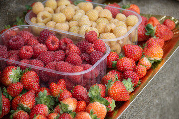 Colorful Berry Assortment With Strawberries And Raspberries In Clear Plastic Containers