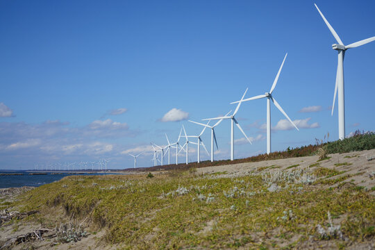 秋田県の海岸線に並ぶ風力発電タービン
