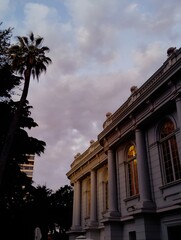 Marble Serenade and Palm Trees at Dusk