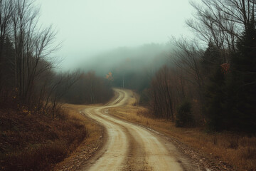 morning in the forest with dirt road going through