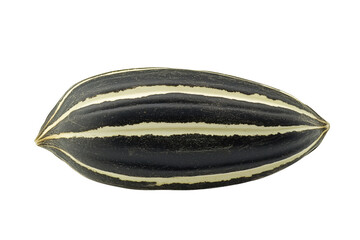Black striped seed isolated on a transparent background