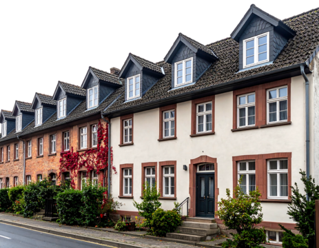 Row of houses with windows and dormers, one with red ivy creeping up the wall; a street in front on lower left