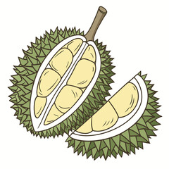 Delicious durian fruit cut open revealing creamy yellow flesh