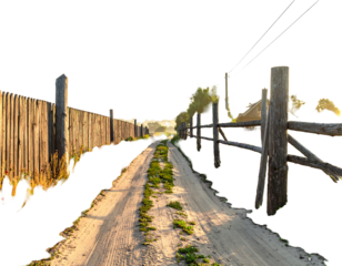 Rural path with fence on either side in the sun's golden light