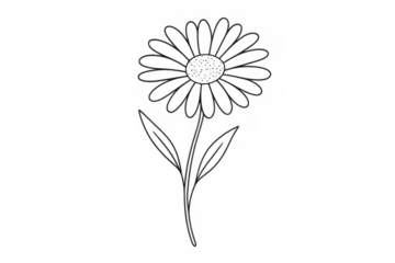 Black and white daisy flower line art doodle drawing, simple hand drawn floral outline on transparent background