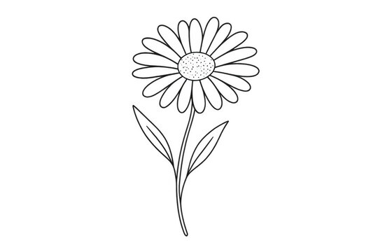 Black and white daisy flower line art doodle drawing, simple hand drawn floral outline on transparent background