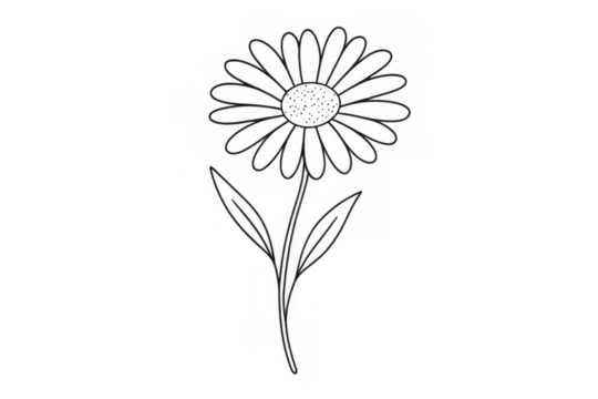 Black and white daisy flower line art doodle drawing, simple hand drawn floral outline on transparent background