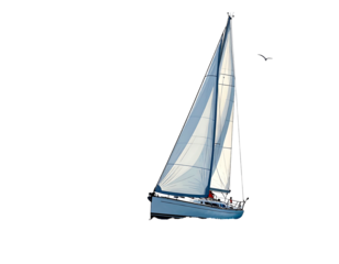 Sailing boat is on the water with open sails, against a black backdrop with a seabird soaring above it